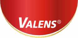 logo2